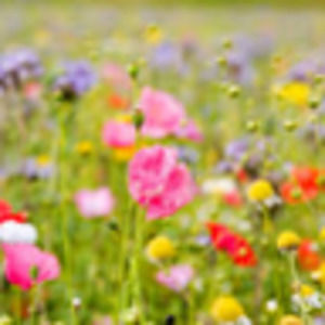 Meet your Posher, Georgia